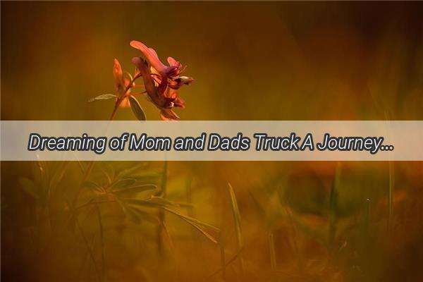 Dreaming of Mom and Dads Truck A Journey Through the Symbolic Realm of Family and Home